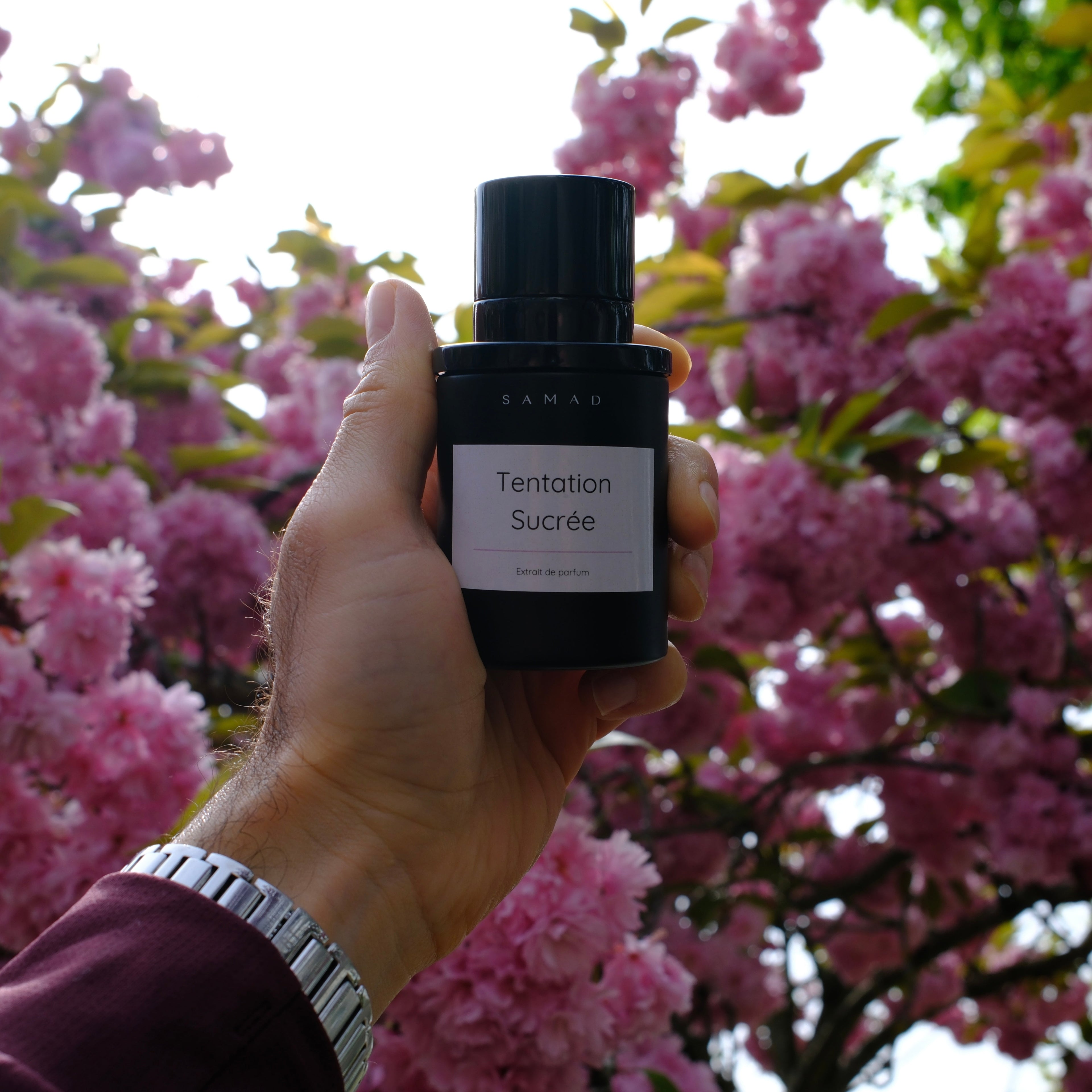 Tentation Sucrée : quand un souvenir devient une signature