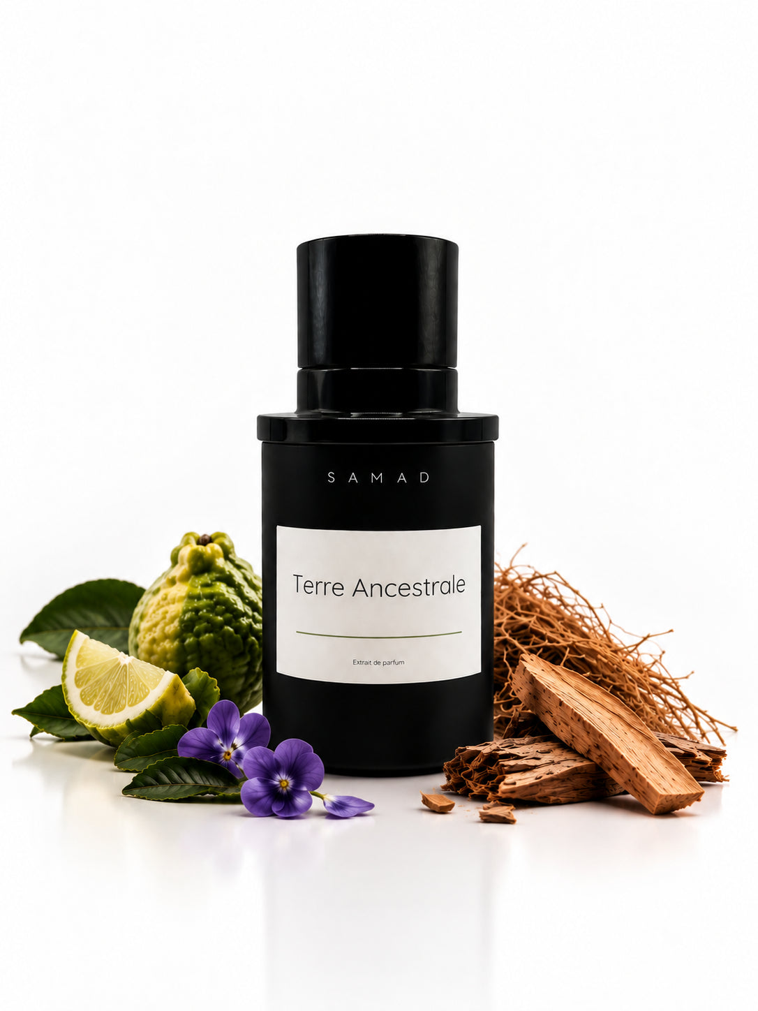 TERRE ANCESTRALE • Bal d'Afrique